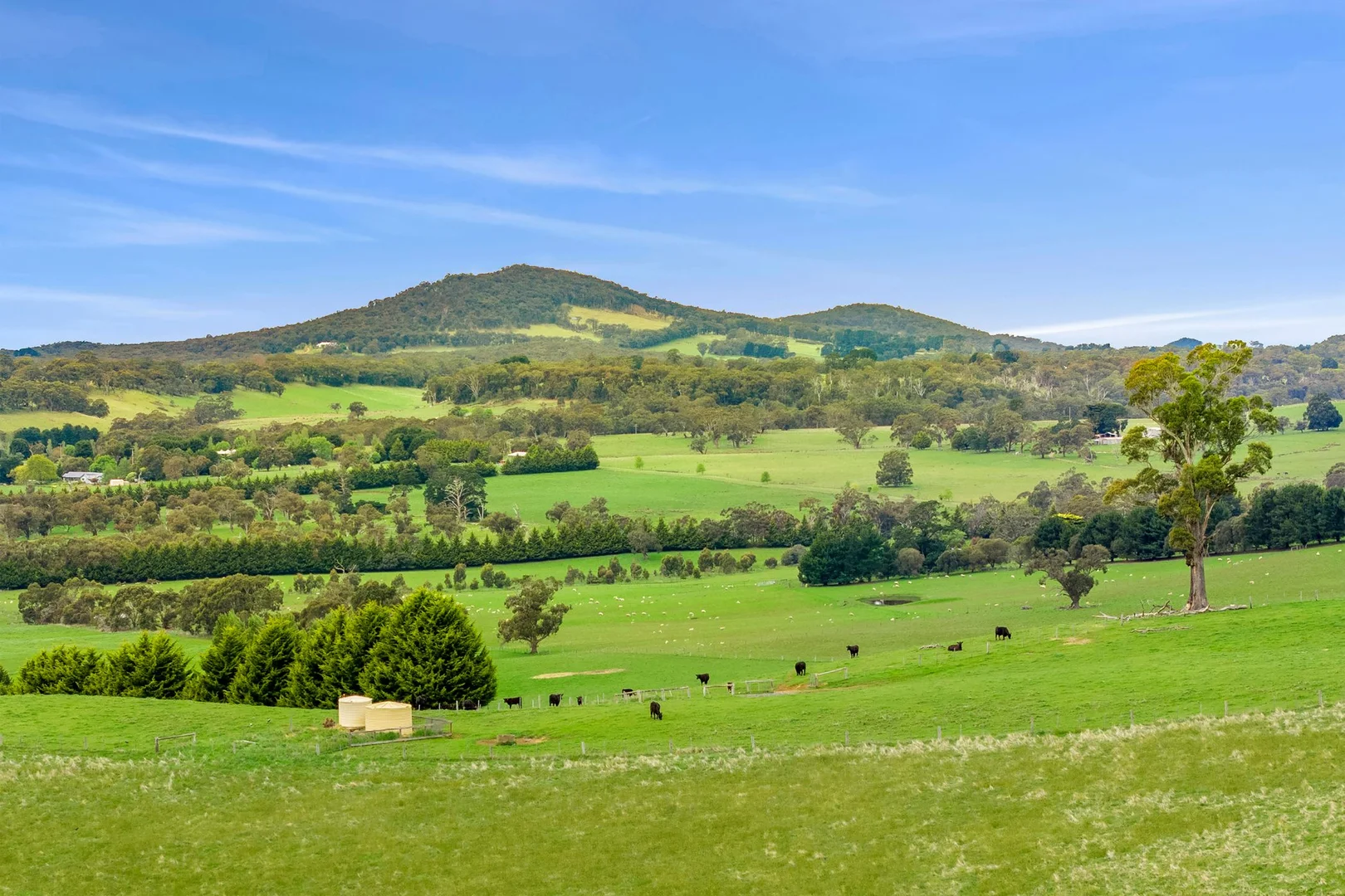 Additional image 12 of 1067 Rochford Road, Newham VIC 3442