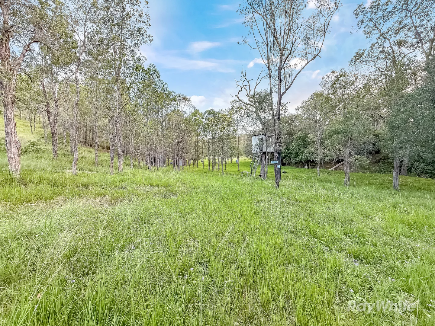 Additional image 29 of 199 Friarbird Drive, Moolboolaman QLD 4671