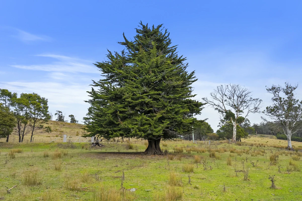 Additional image 25 of 1 & 2 Bresnehans Road, Little Swanport TAS 7190