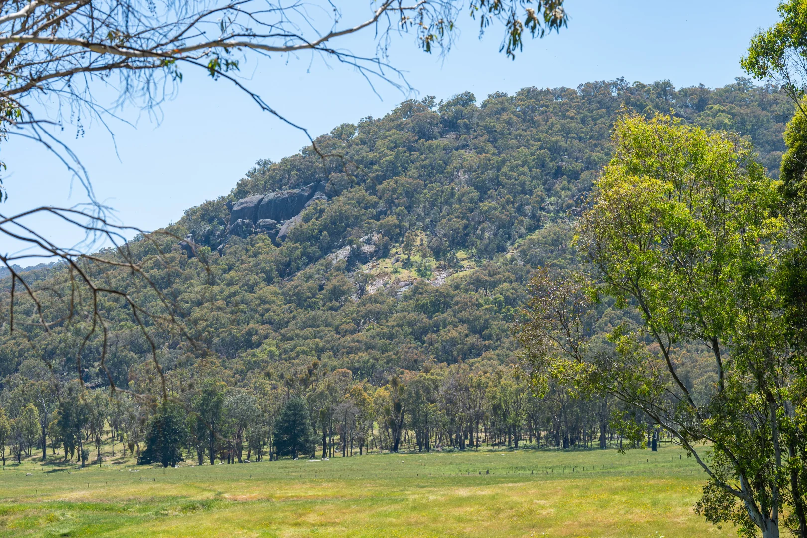 Additional image 37 of 417 Black Flats Road, Mudgegonga VIC 3737