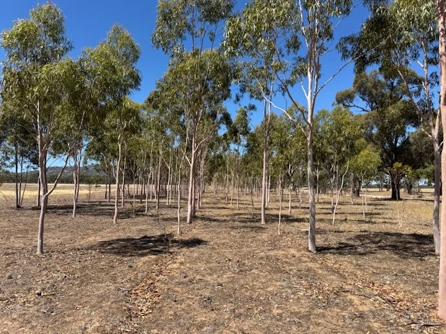 Additional image 4 of 23A & 24B Canfields Road, Glenalbyn VIC 3517