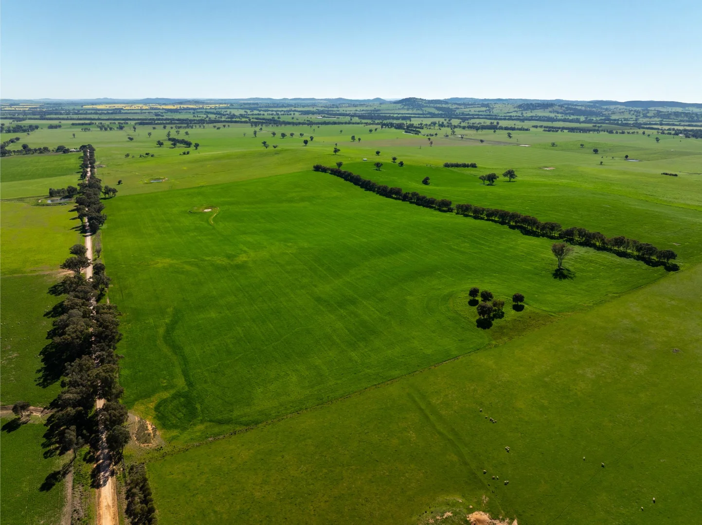 Additional image 16 of 272 Bulloc Hill Road, Mangoplah NSW 2652