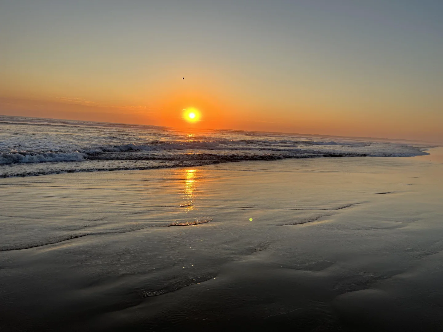 Additional image 10 of 51 Lees Road, Venus Bay VIC 3956