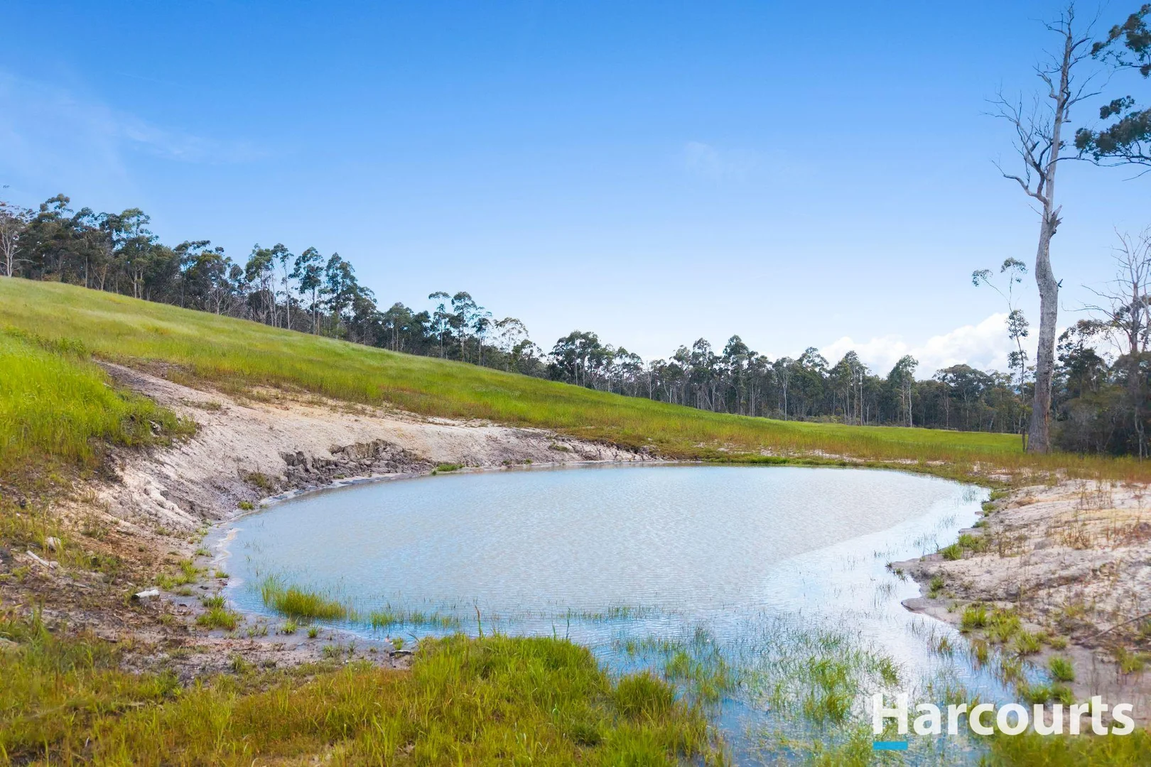 Additional image 11 of 420 Bradys Plain Road, Parkham TAS 7304