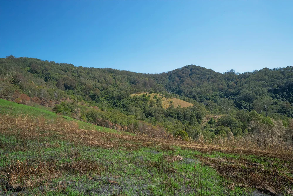 Additional image 6 of Lot A, 25 & 109 Allyn River Road, Halton NSW 2311