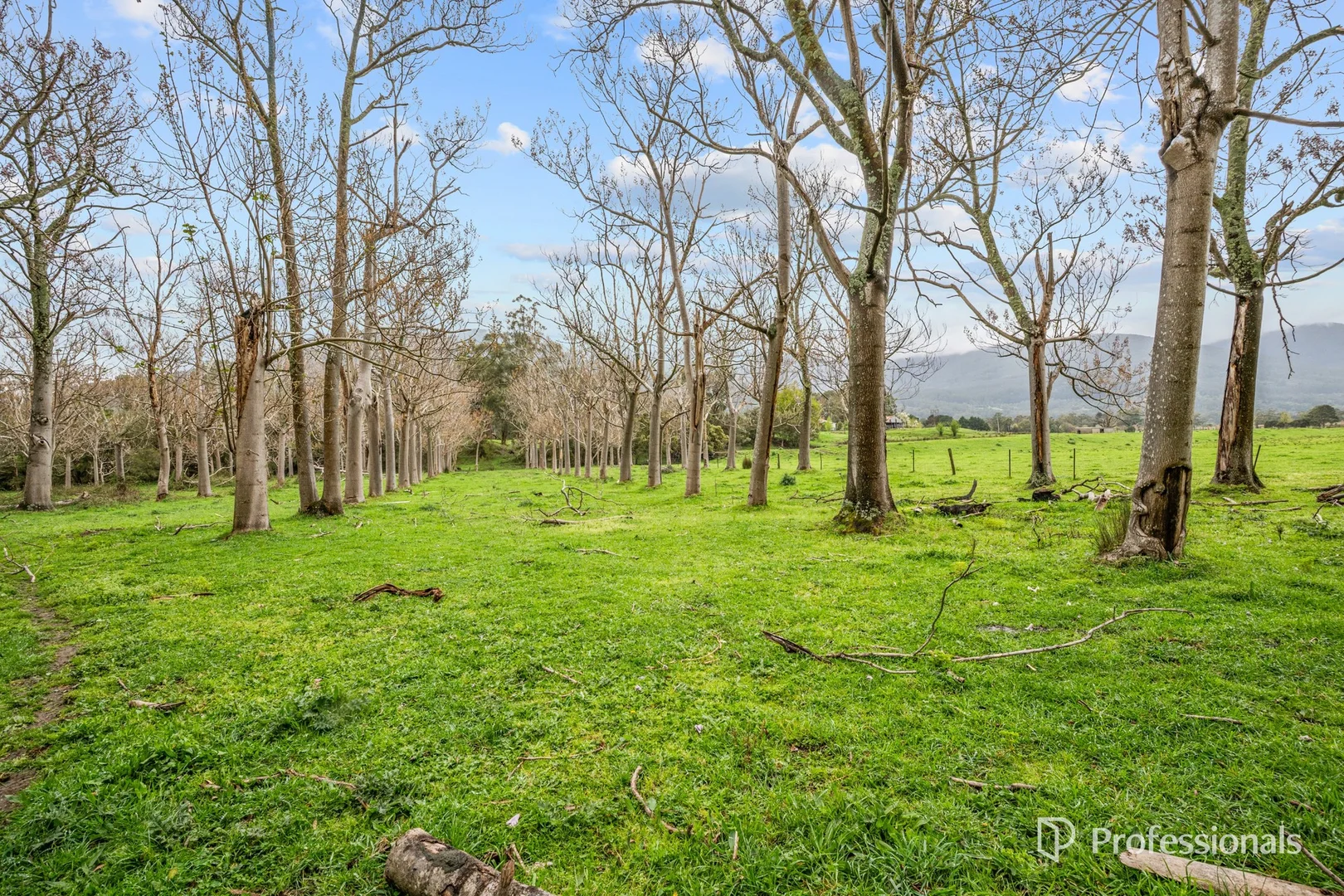 Additional image 31 of 230 Station Road, Wesburn VIC 3799