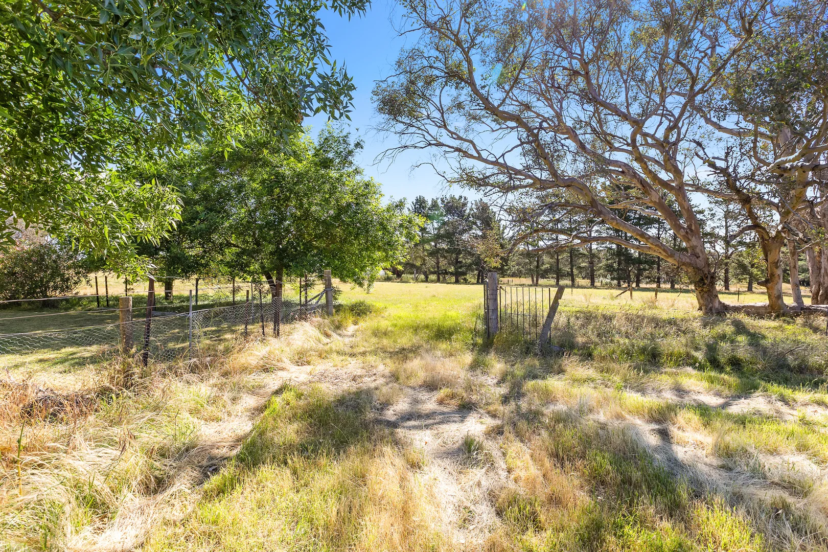 Additional image 18 of 3 Scrubby Lane, Murrumbateman NSW 2582