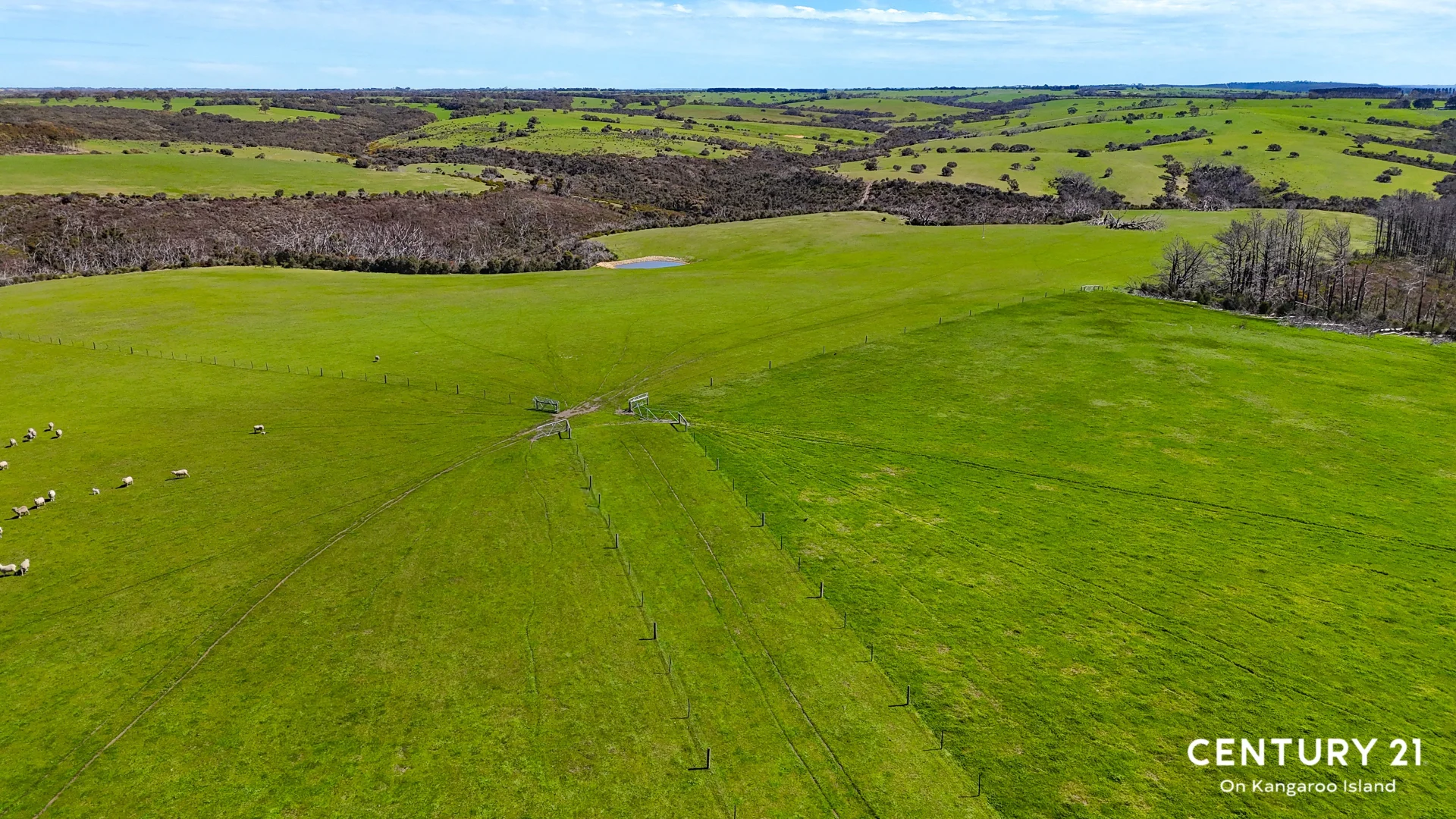 Additional image 12 of 2265 Playford Highway, Kohinoor SA 5223