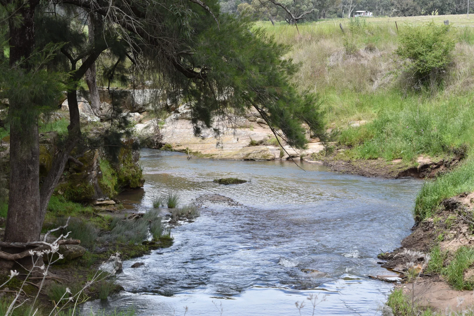 Additional image 27 of 1124 WARKTON ROAD, Coonabarabran NSW 2357