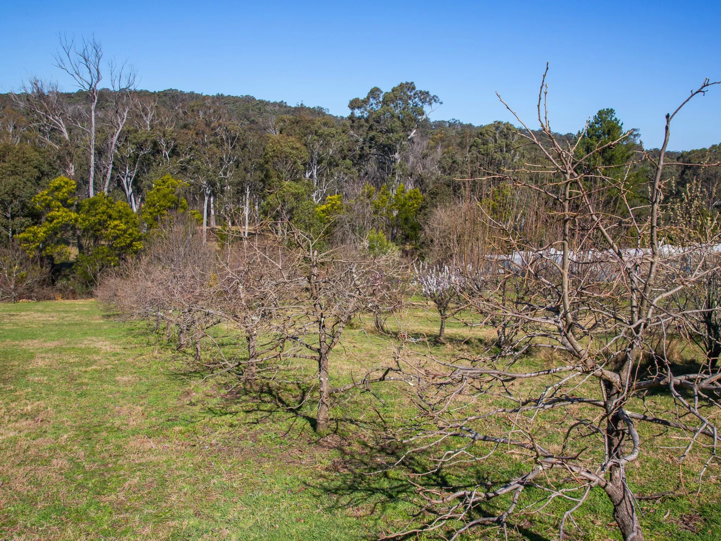 Additional image 17 of 170 Wattle Flats Road, Canyonleigh NSW 2577