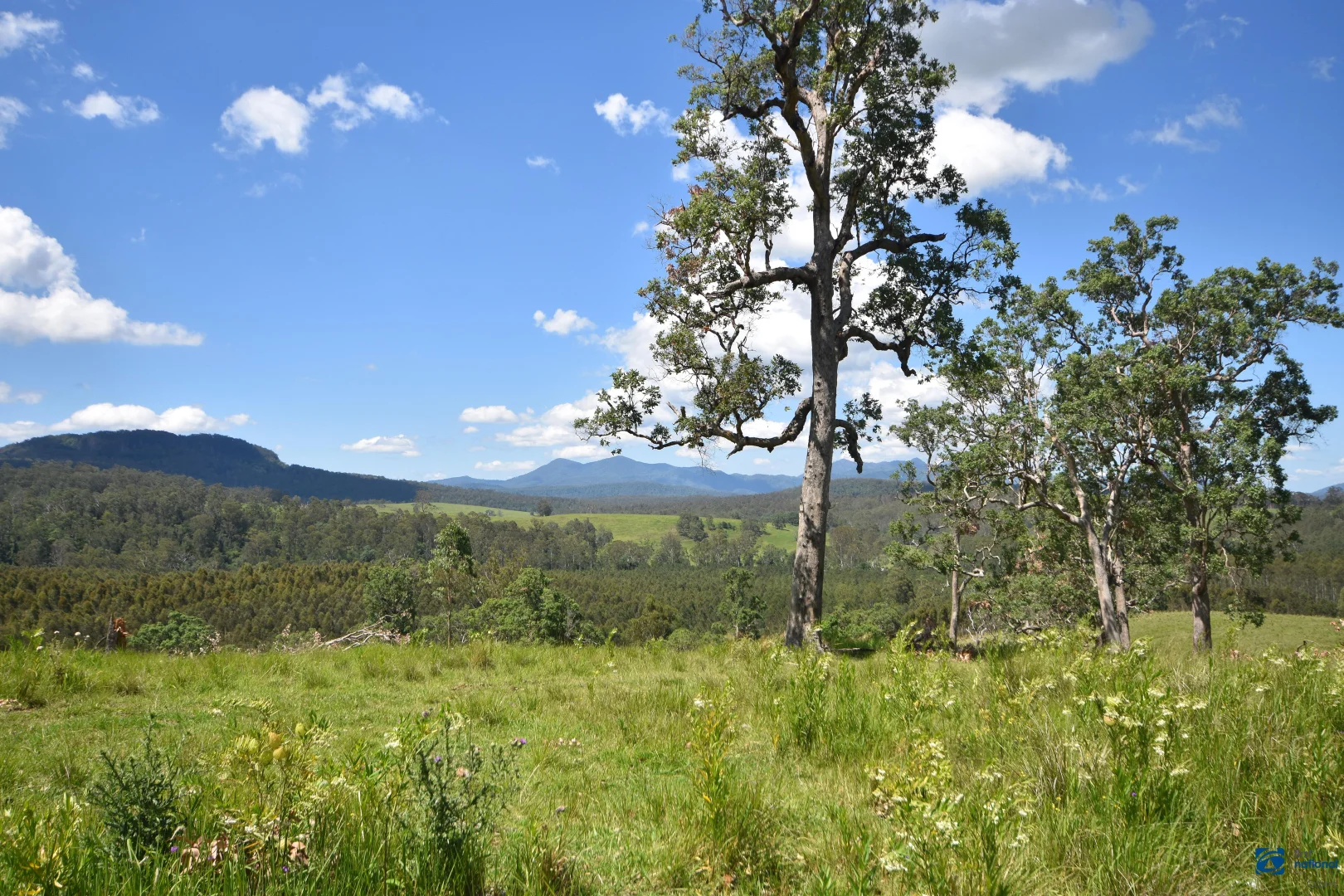 Additional image 50 of 1212 Beaury Creek Road, Urbenville NSW 2475