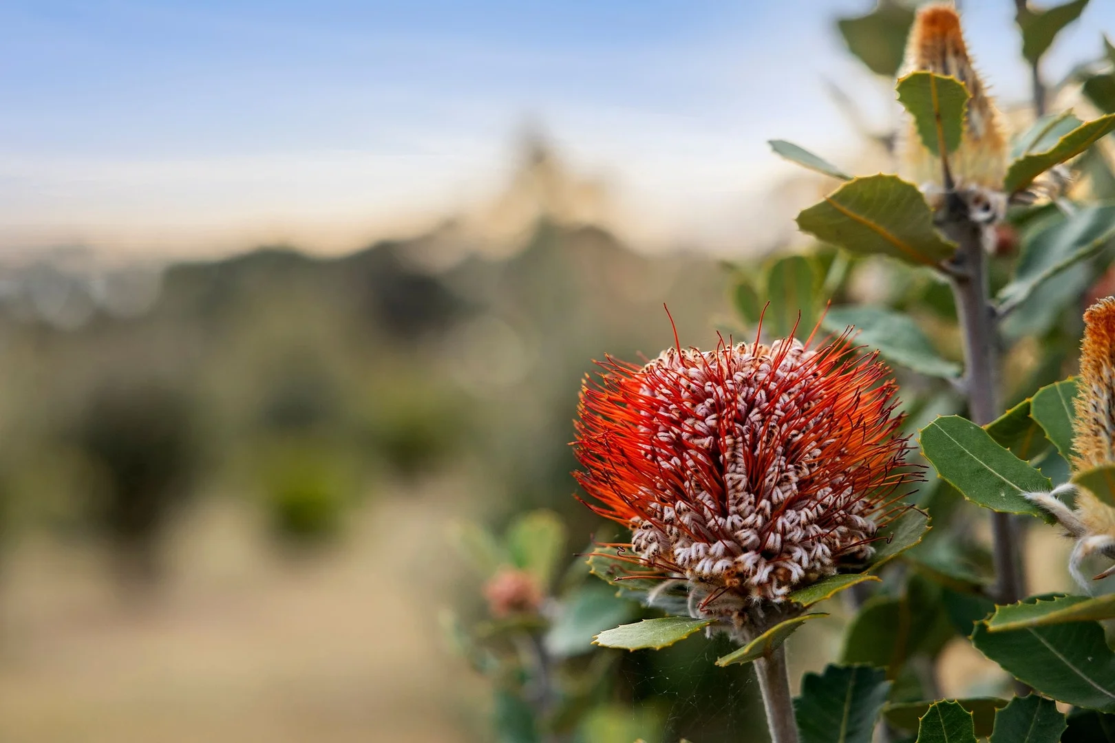 Additional image 17 of 366 Savage Hill Road, Dereel VIC 3352