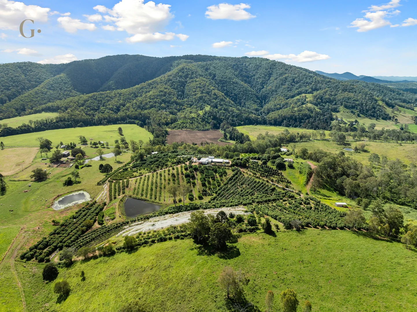 Additional image 3 of 1207 Kandanga Creek Road, Upper Kandanga QLD 4570