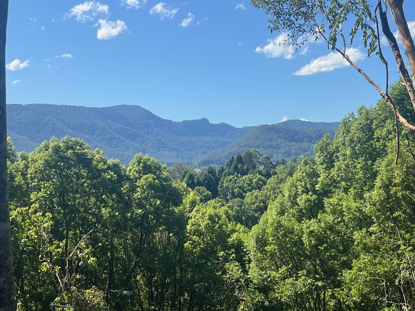 Additional image 3 of Lot 8, 345 Tuntable Falls Road, Nimbin NSW 2480