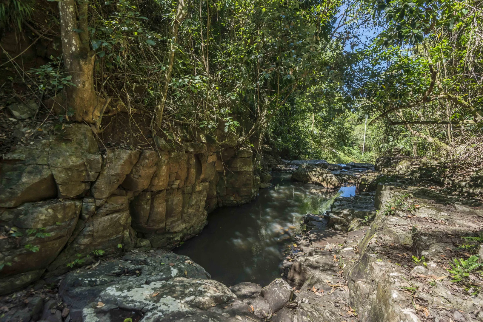 Additional image 30 of 76 Maso Road, Repentance Creek NSW 2480