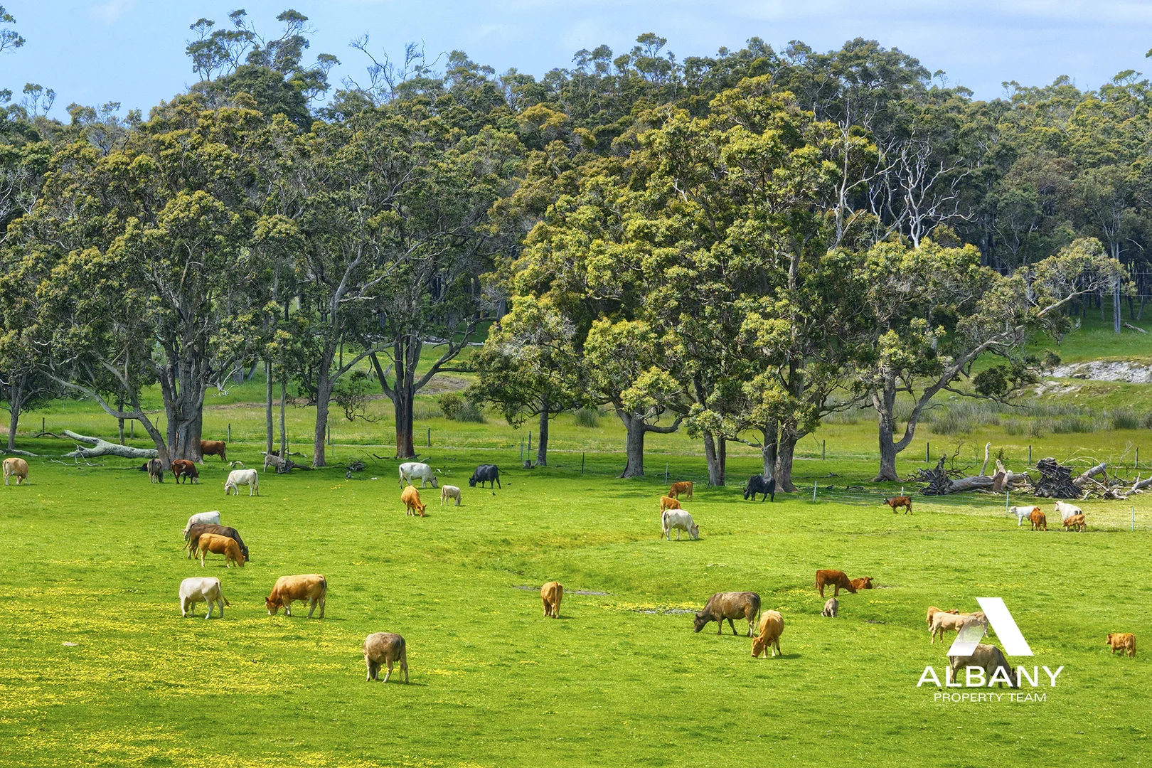 Additional image 34 of 1100 Spencer Road, Narrikup WA 6326