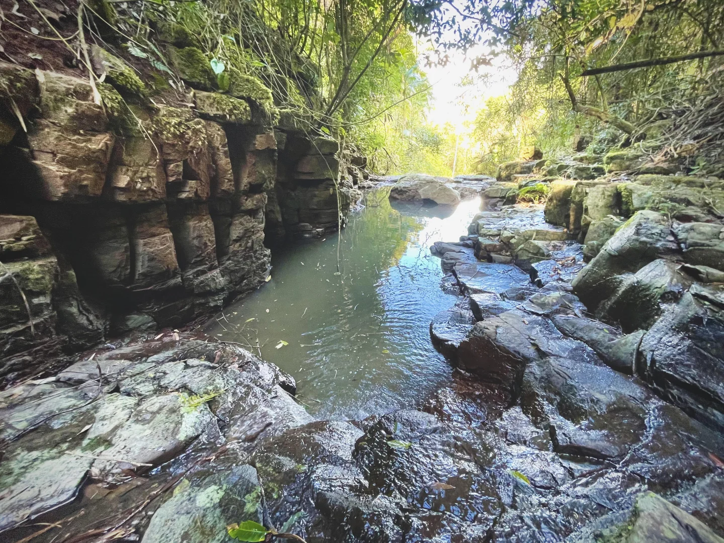 Additional image 14 of 76 Maso Road, Repentance Creek NSW 2480