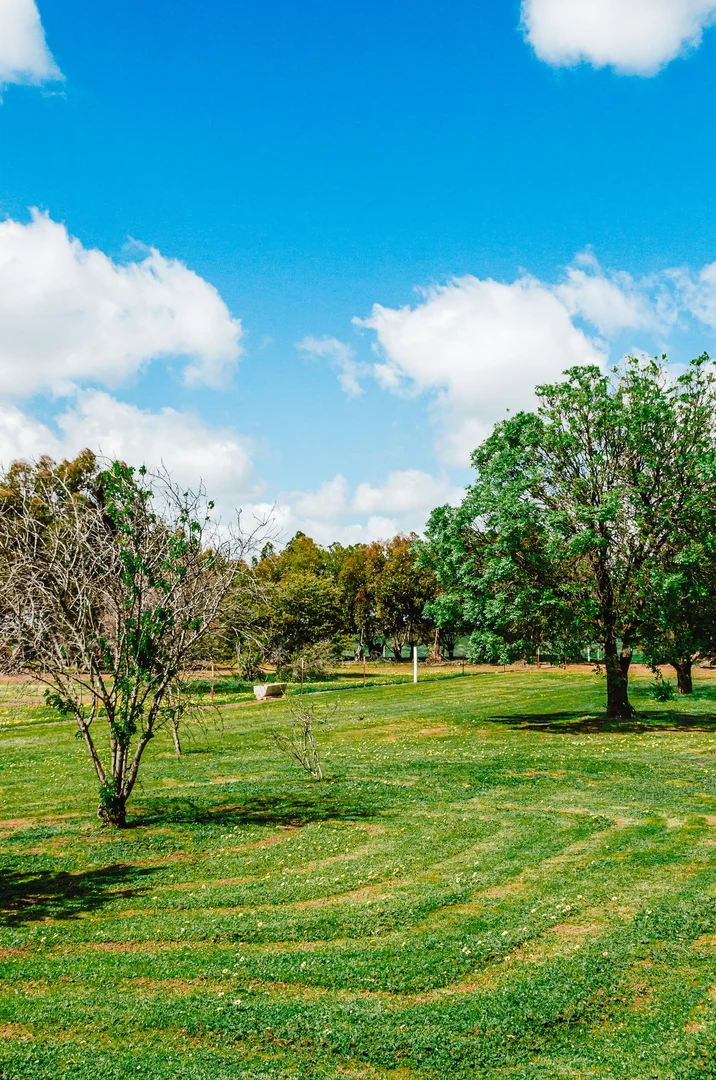 Additional image 40 of 367 Banyena-Pimpinio Road, Rupanyup VIC 3388