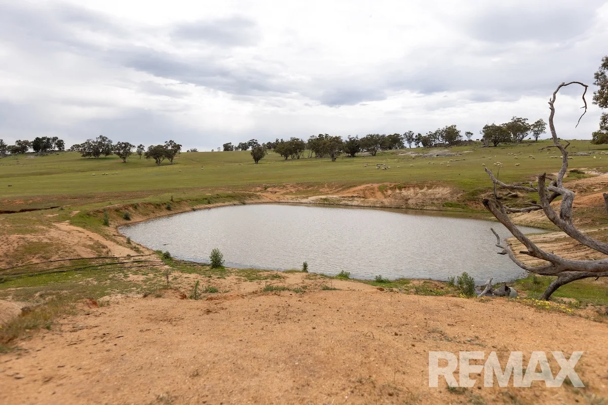 Additional image 28 of 417 Twelve Mile Road, Yarragundry NSW 2650