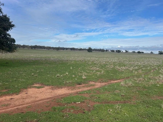 Additional image 5 of 418 Donaldsons Road, Corbie Hill NSW 2705