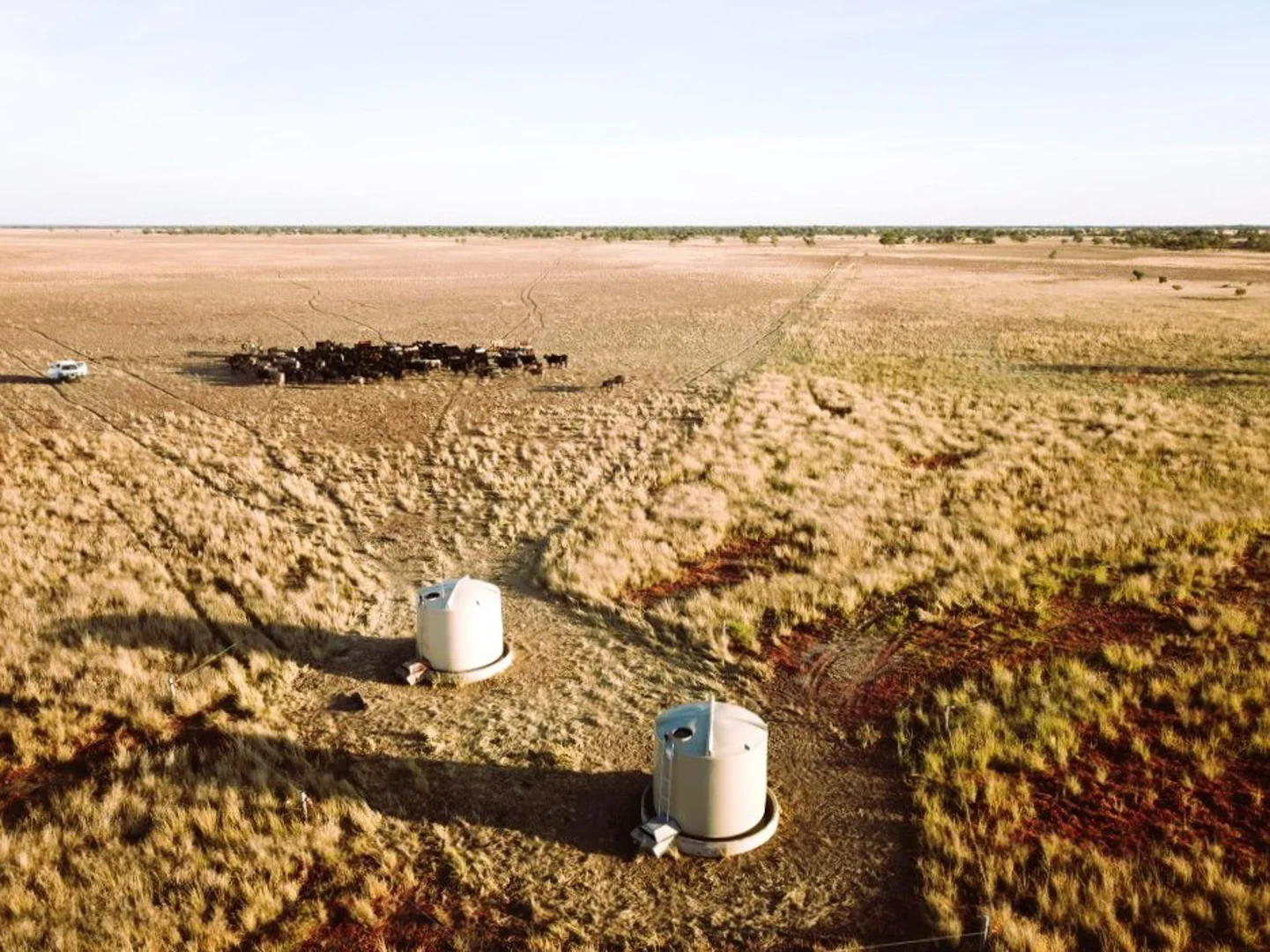 Additional image 5 of 318 Barringun Road, Barringun QLD 4490