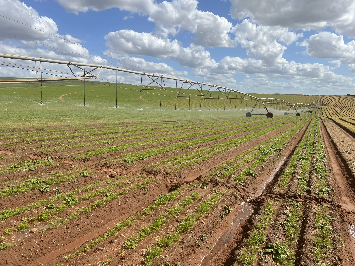 Additional image 6 of 66 Morrell Road, Bowhill SA 5238