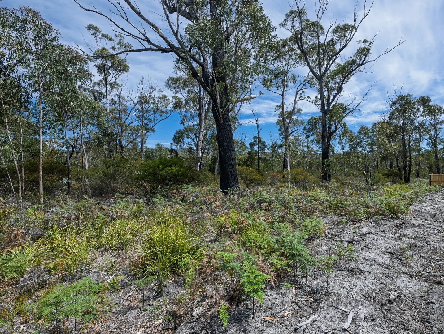 Additional image 15 of Lot 33 Wrinklers Drive, Scamander TAS 7215