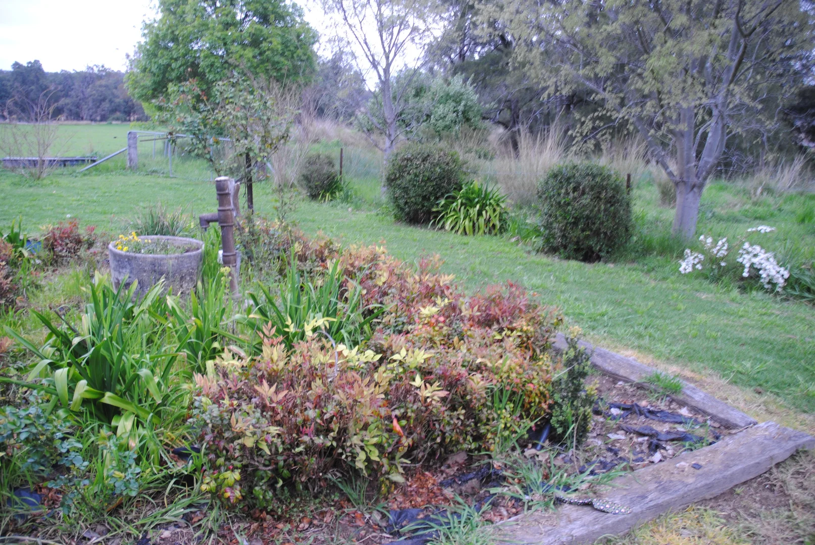 Additional image 56 of 1124 WARKTON ROAD, Coonabarabran NSW 2357