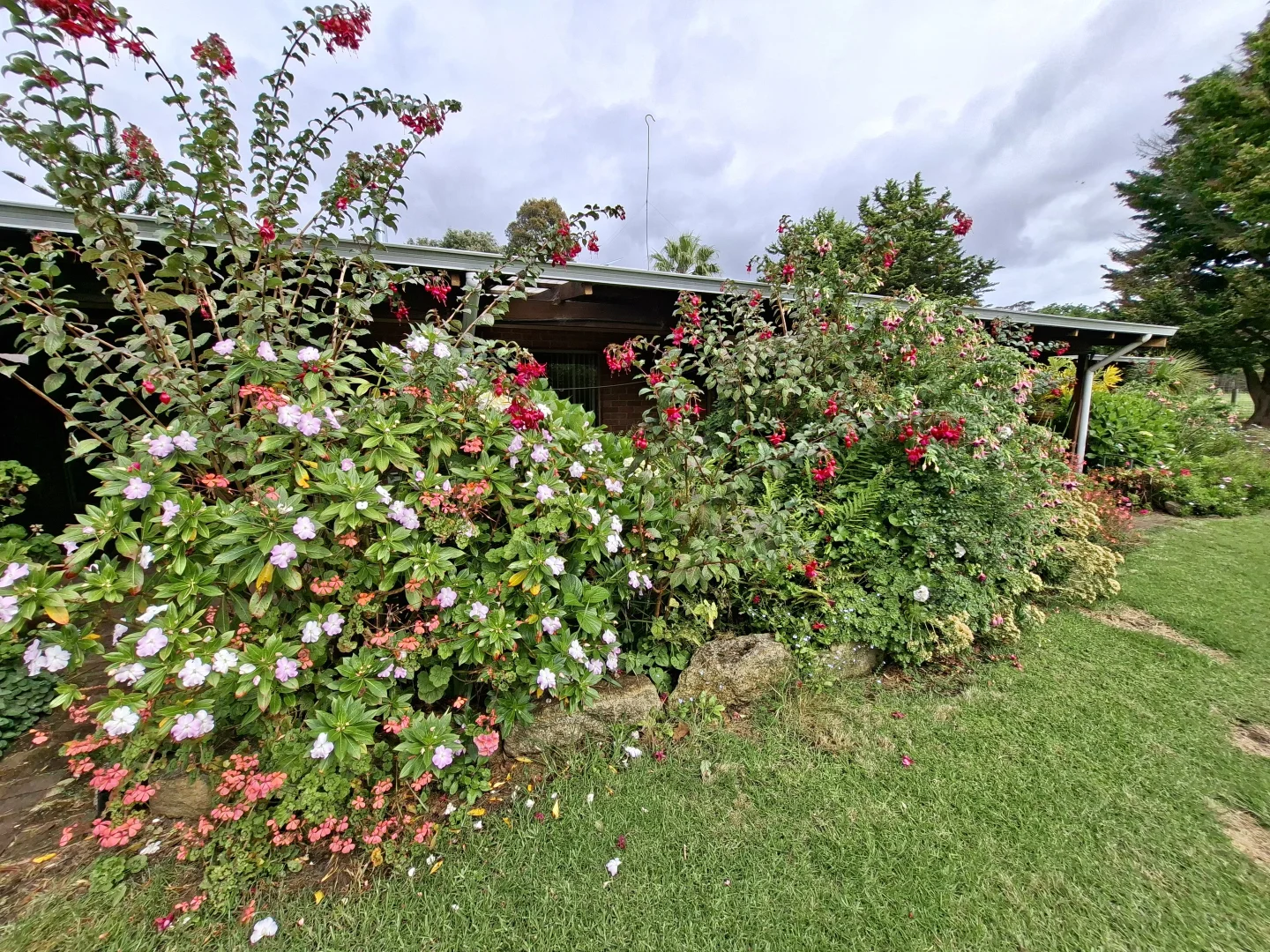 Additional image 38 of 38491 South Western Highway, Broke WA 6398