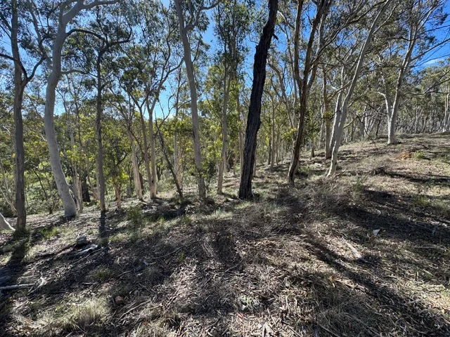 Additional image 4 of 671 Towrang Road, Towrang NSW 2580