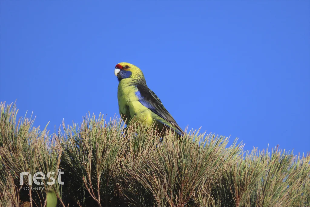 Additional image 27 of 1000 Van Morey Road, Margate TAS 7054