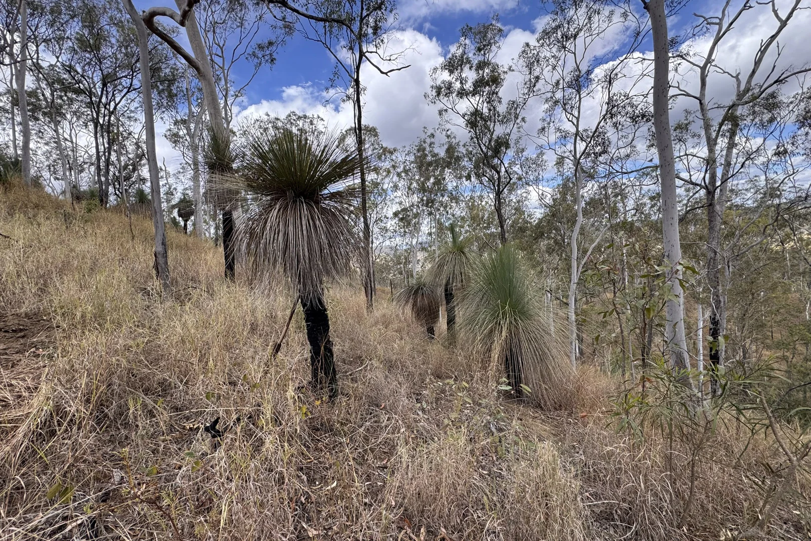 Additional image 2 of "Jalna" 266 Childs Road, Boyne Valley QLD 4680