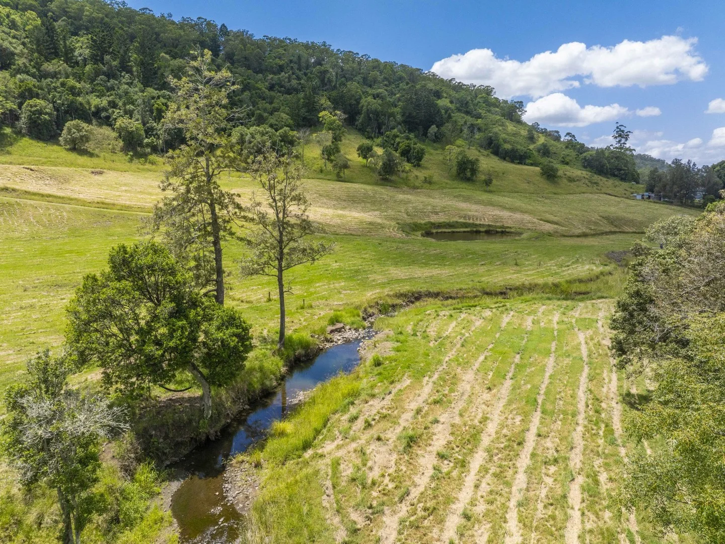 Additional image 7 of 138 Bice Road, Leycester NSW 2480