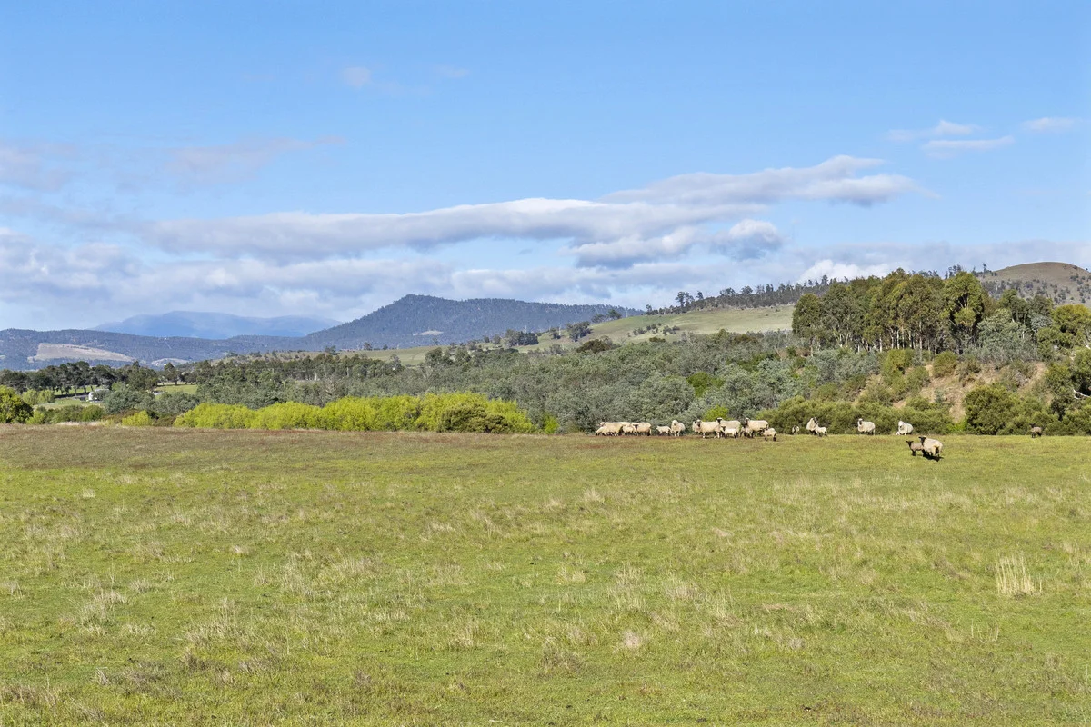 Additional image 22 of 151 Prossers Road, Richmond TAS 7025