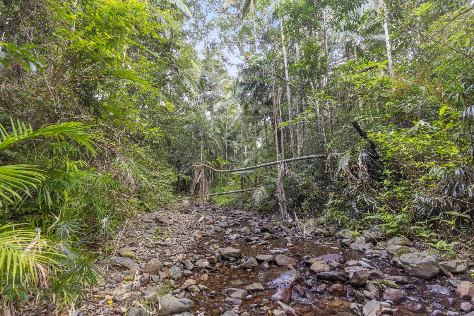 Additional image 38 of 492 River Road, Peachester QLD 4519