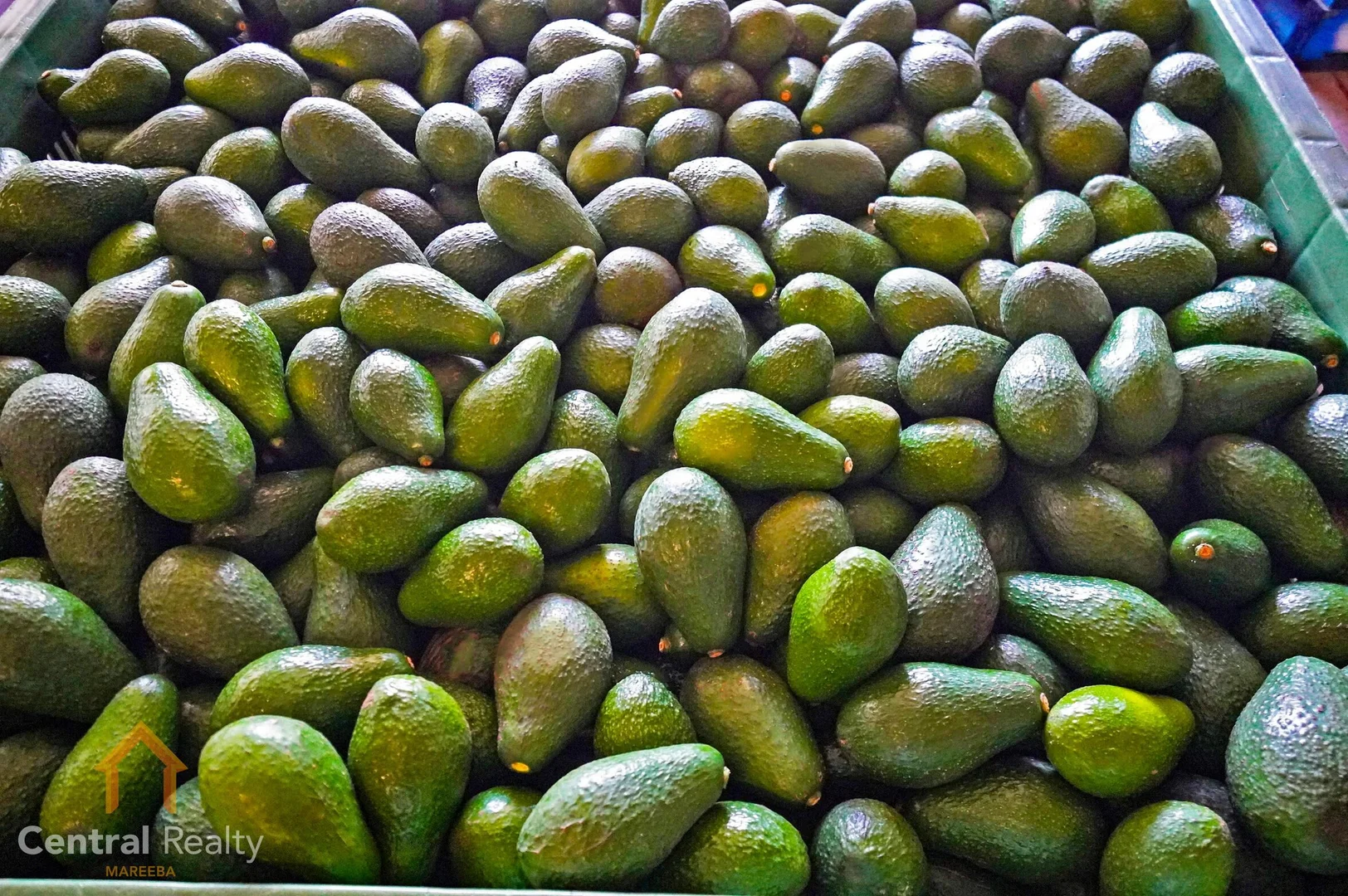 Additional image 18 of 44 Carman Road, Mareeba QLD 4880