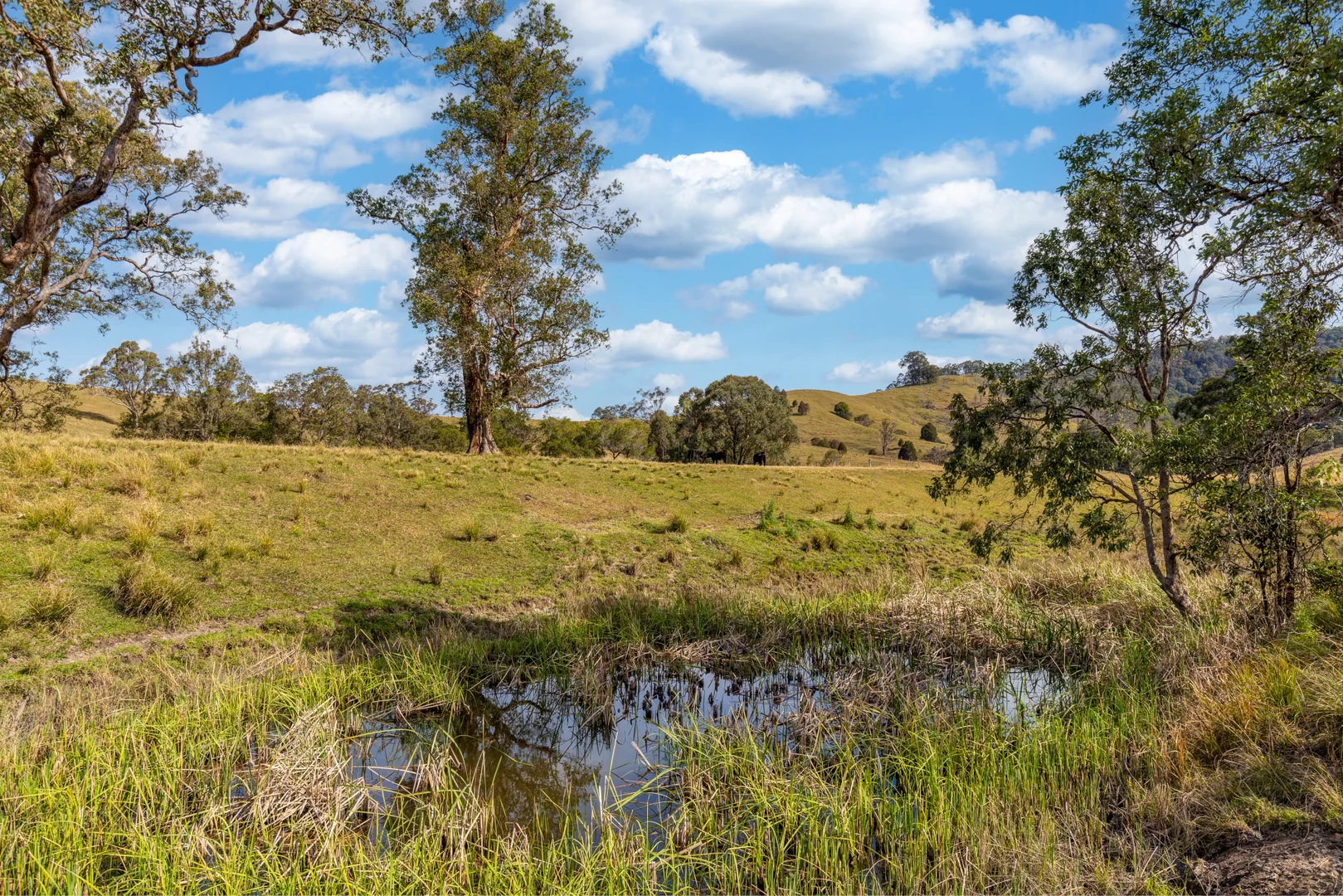 Additional image 7 of Lots/34 & 158 Salisbury Road, Dungog NSW 2420