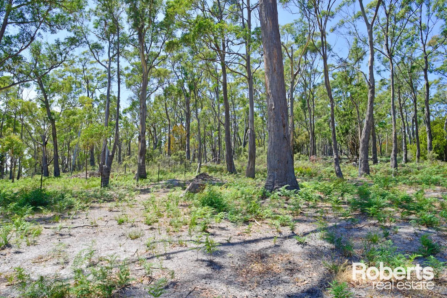 Additional image 7 of 28 Cox Drive, Dennes Point TAS 7150