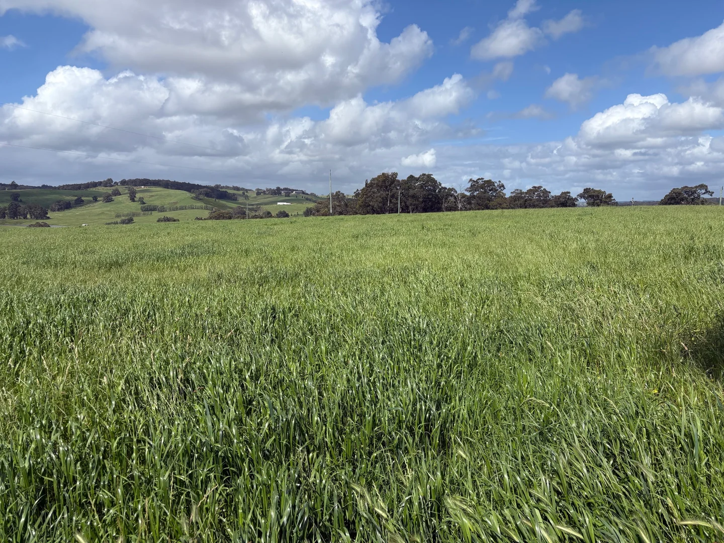 Additional image 20 of Lot 72 Beelerup Road, Beelerup WA 6239