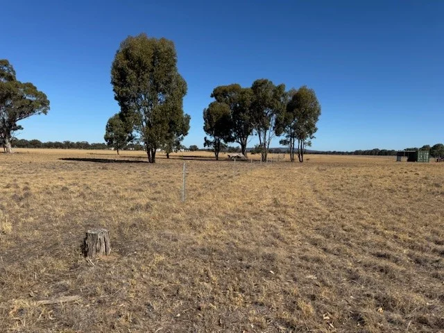 Additional image 9 of CA8B Boort Kurting Road, Kurting VIC 3517