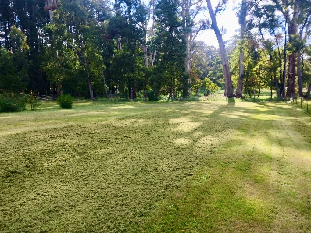 Additional image 2 of 47C Park Street, Trentham VIC 3458