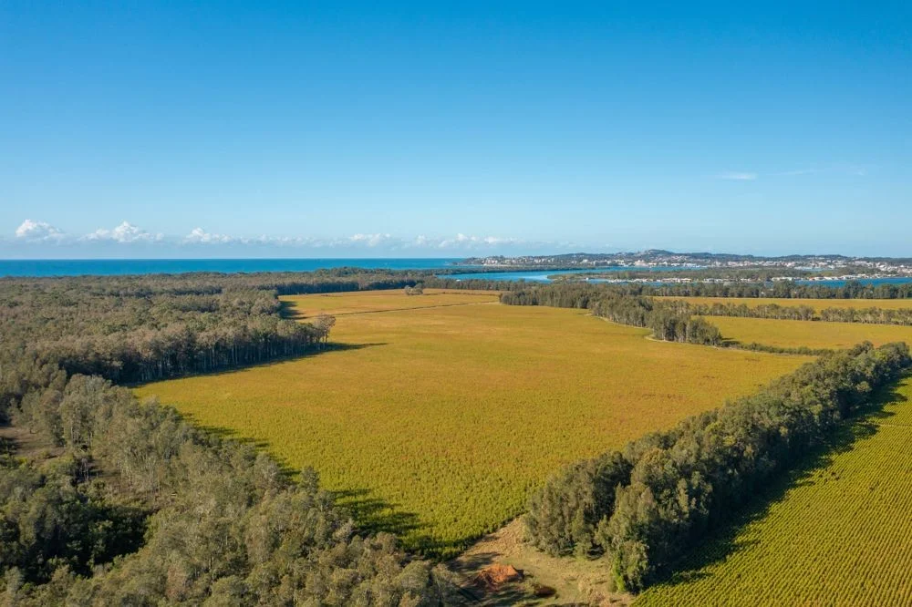 Additional image 9 of 77 SHORELINE DRIVE, North Shore NSW 2444