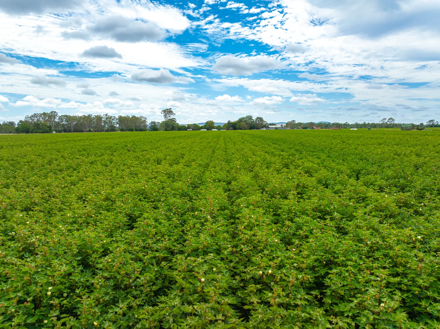 Additional image 13 of 424 Campbells Road, Silverleaf QLD 4605