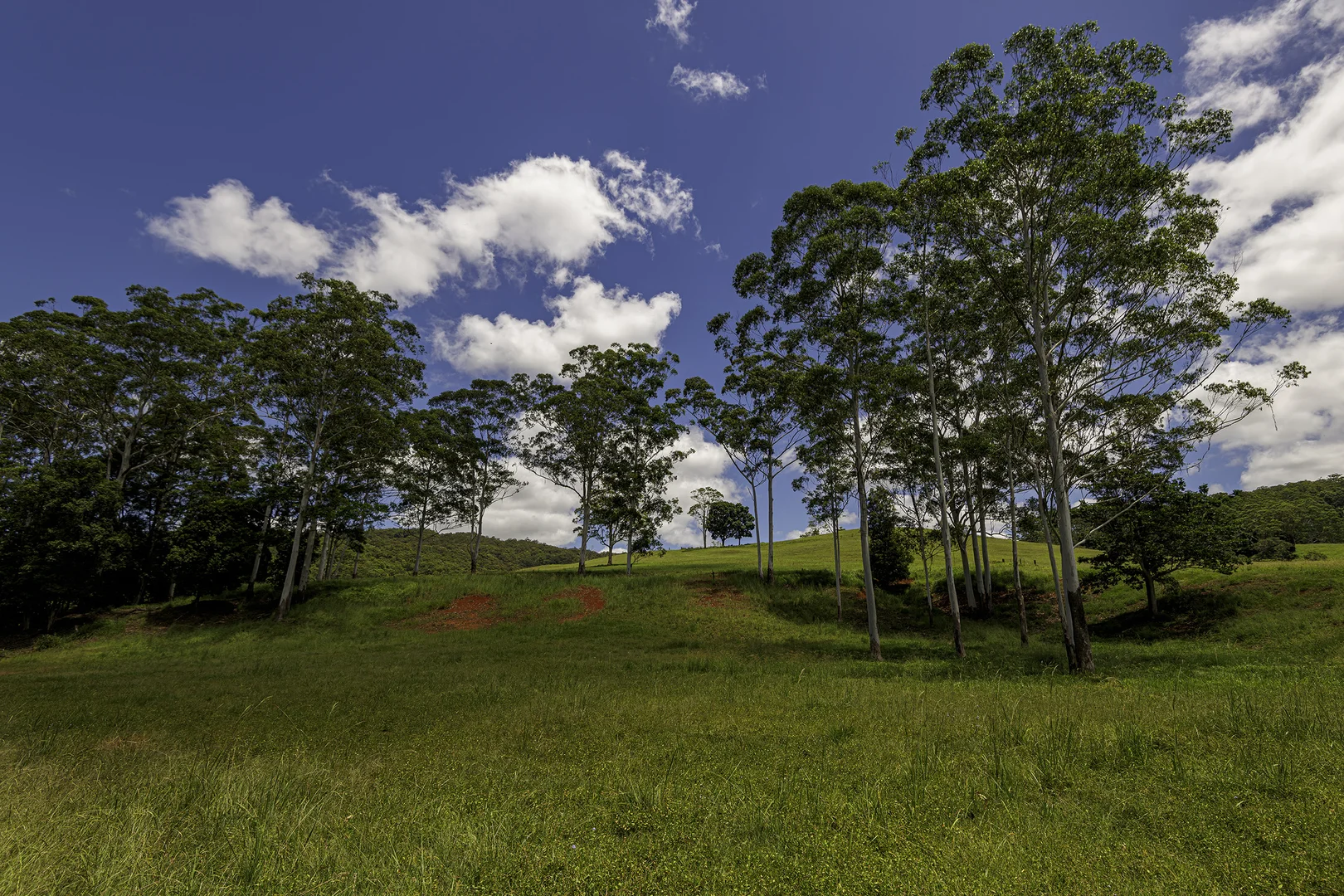 Additional image 49 of 492 River Road, Peachester QLD 4519