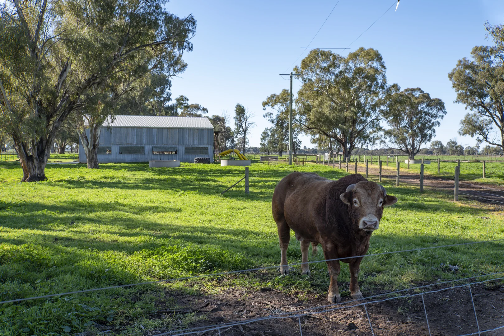 Additional image 24 of 2244 Berrigan Road, Berrigan NSW 2712