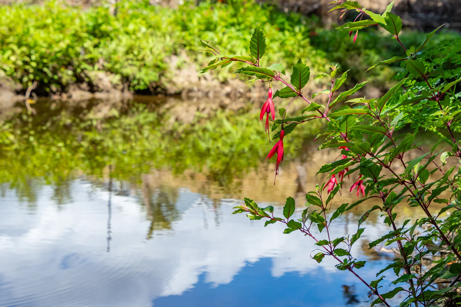 Additional image 16 of 3480 Channel Highway, Woodbridge TAS 7162