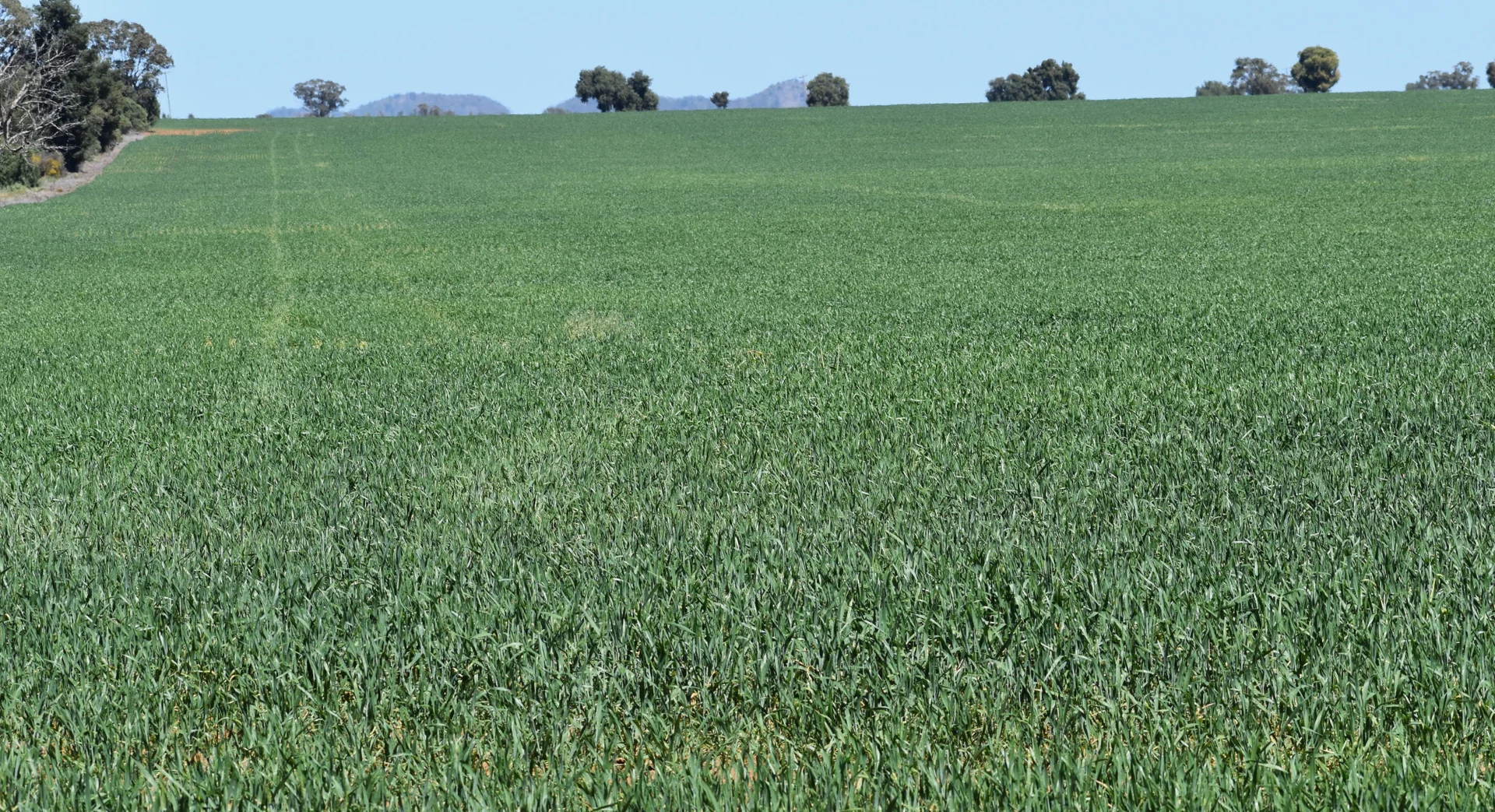 Additional image 8 of 120 Ganantagi Road, Yarrabandai NSW 2875