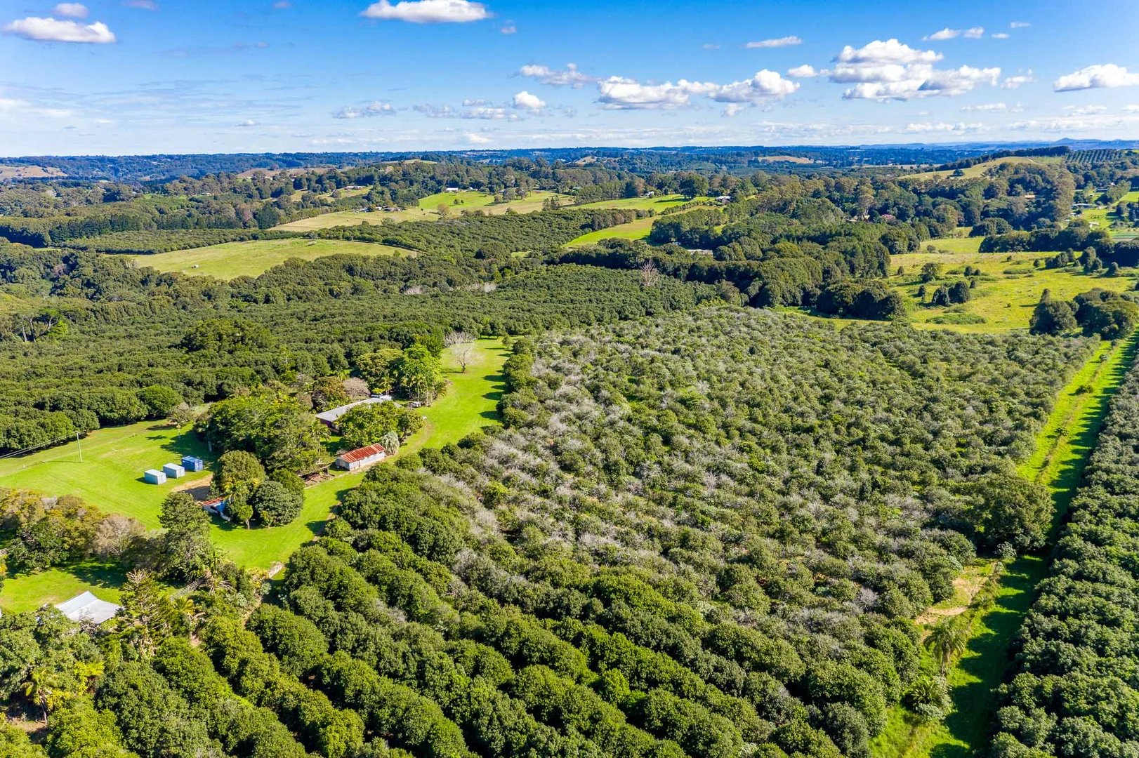 Additional image 2 of 311 Friday Hut Road, Brooklet NSW 2479