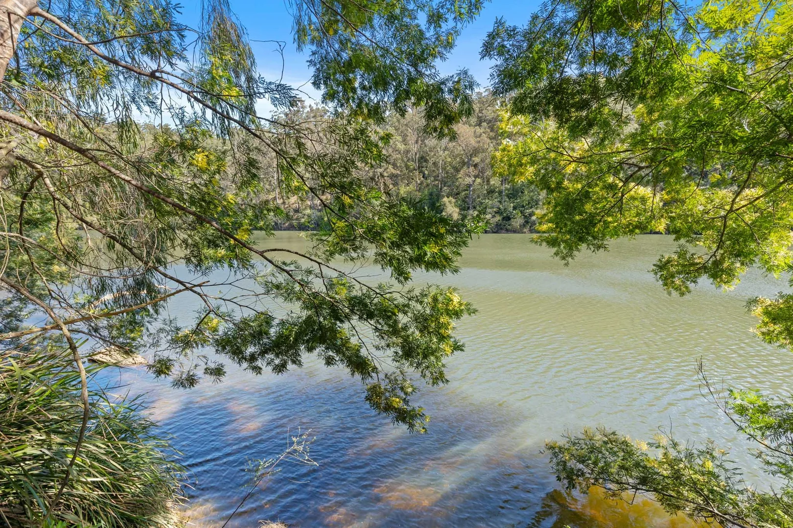 Additional image 5 of 1 Sheas Road, Mogood NSW 2538