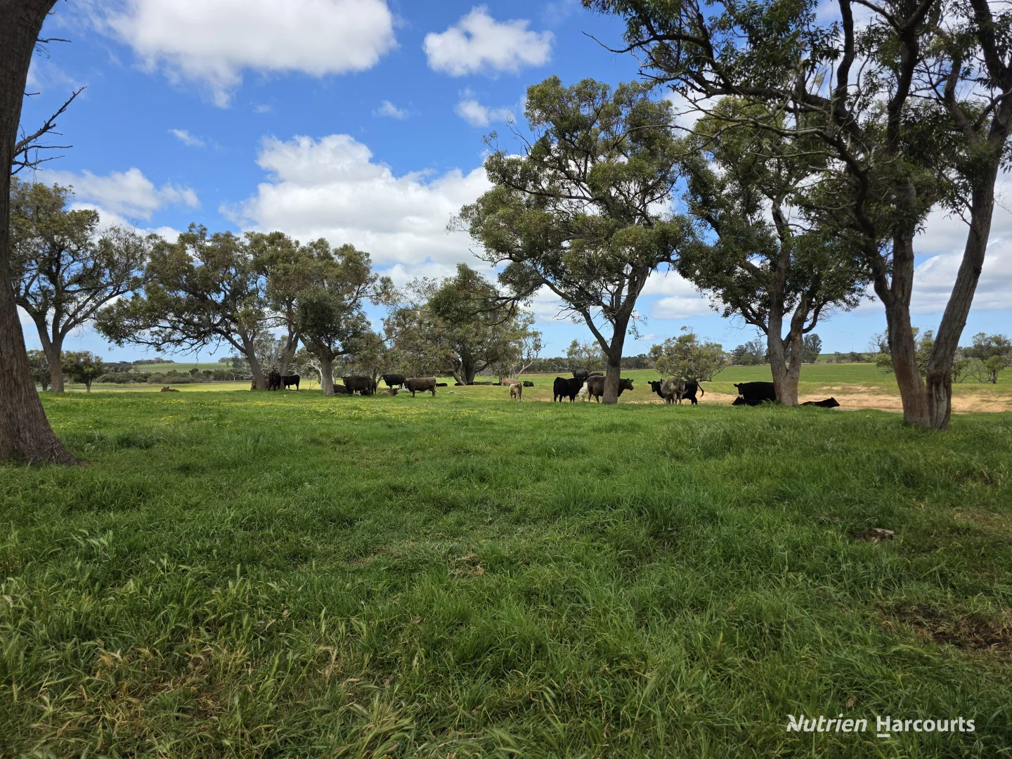 Additional image 17 of 1867 Chester Pass Road, Napier WA 6330